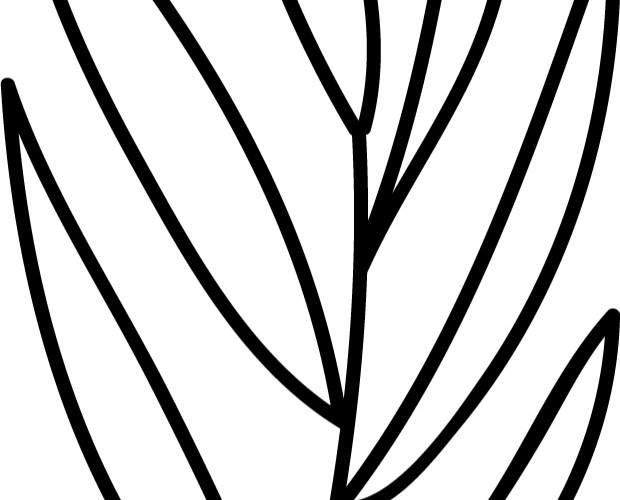 枝条简笔画