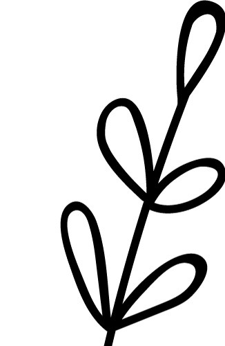枝叶简笔画