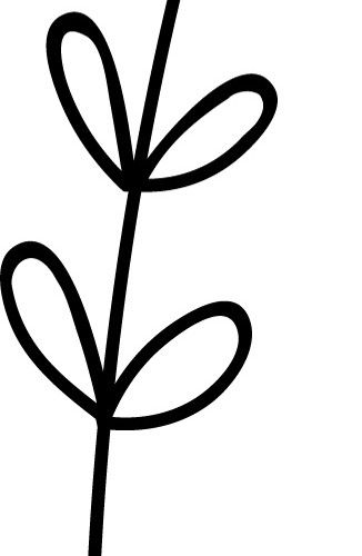 枝叶简笔画