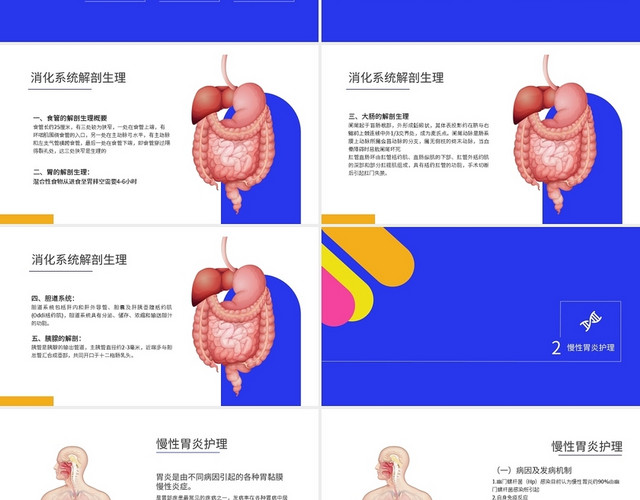 彩色医疗消化系统疾病病人护理培训PPT模板