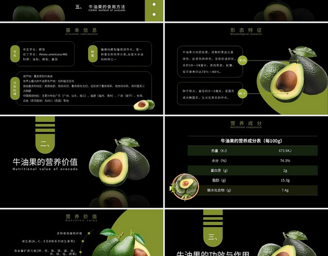 绿色牛油果知识介绍科普PPT模板