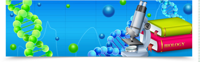 化学实验BANNER