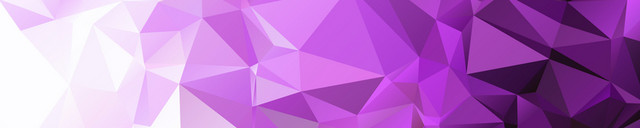 紫色菱花几何渐变BANNER