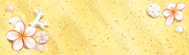 唯美海滩贝壳BANNER