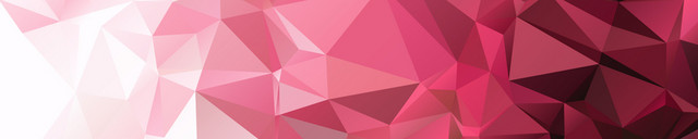 红色菱花几何渐变BANNER