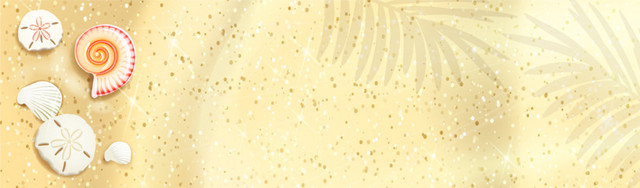 唯美海滩贝壳BANNER
