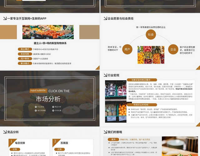 项目运营策划书PPT模板