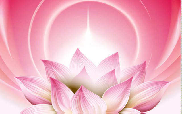 莲花背景素材