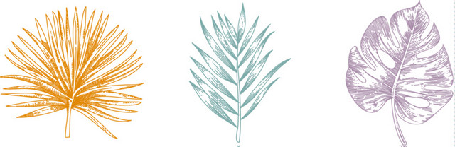 美丽植物叶子矢量元素