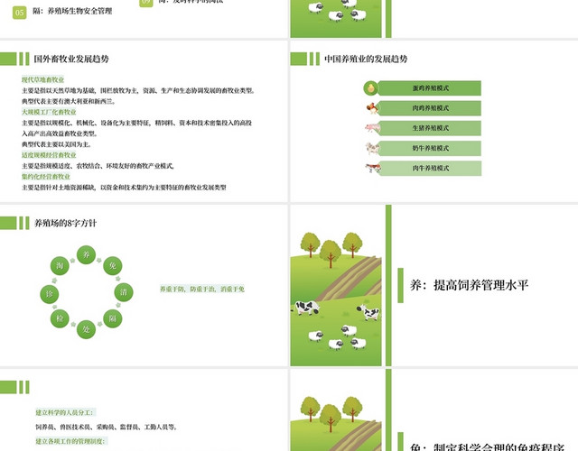 绿色简约风格养殖场的生物安全和疫病防控PPT模板