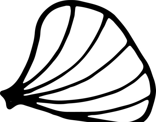 海贝免抠素材