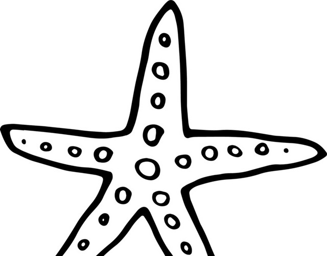 黑色的海星矢量元素