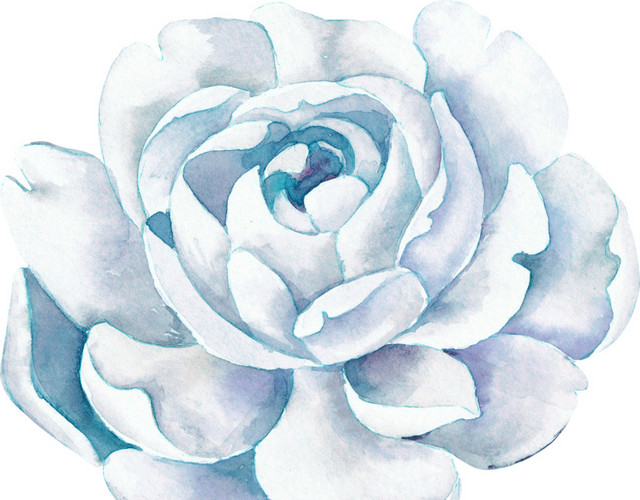 蓝色唯美花朵免抠素材