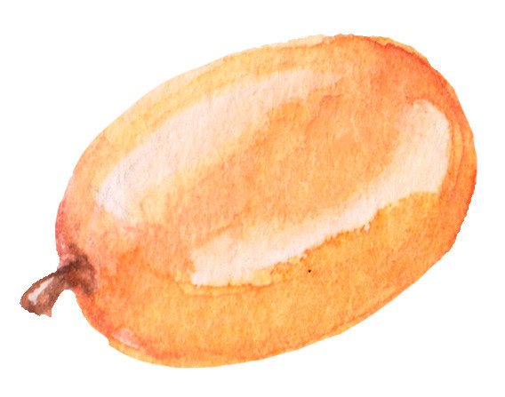 枣子免抠素材