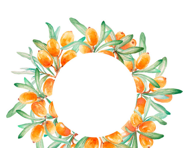花边花环免抠素材