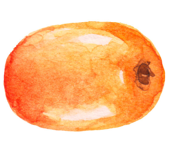 手绘枣免抠素材