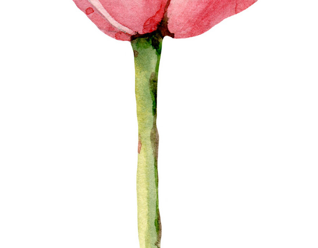 水彩花朵免抠素材