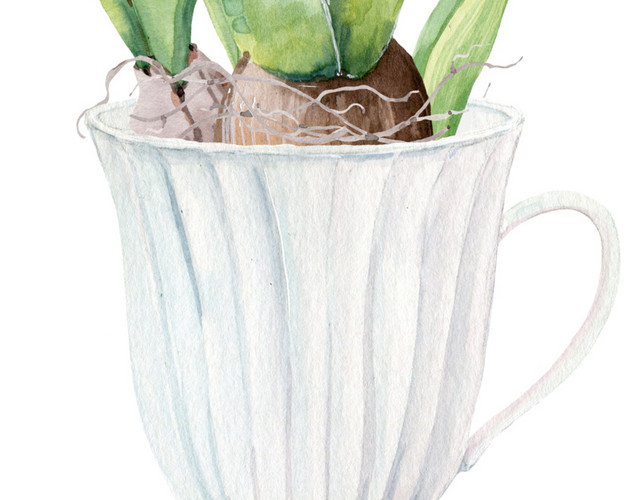 盆栽植物免抠素材