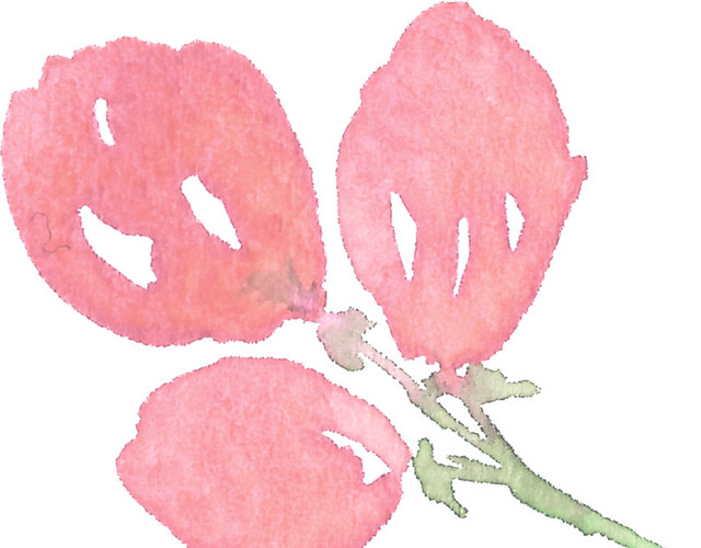 红色花朵免抠素材