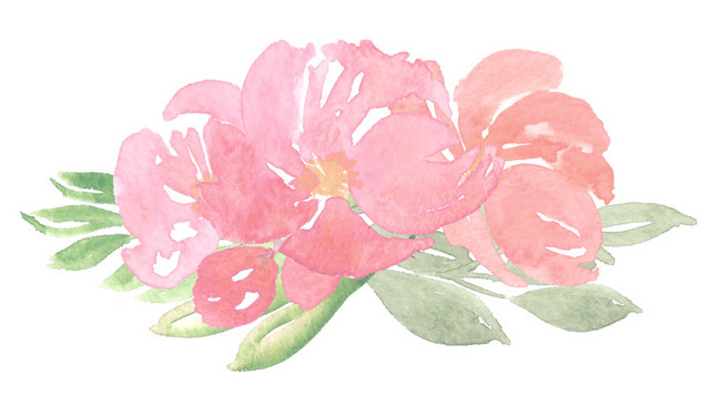唯美花朵免抠素材