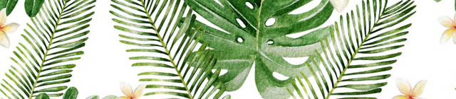 绿色植物树叶花手绘素材