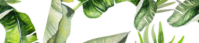 绿色树叶植物手绘素材