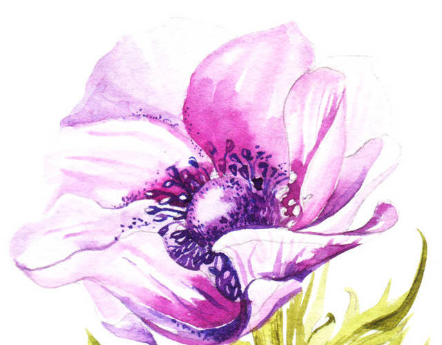 紫色花朵水彩素材