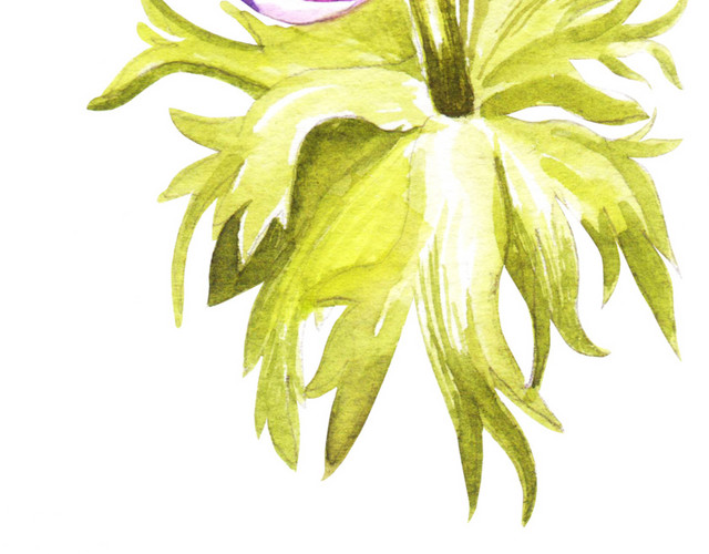 紫色花朵水彩素材