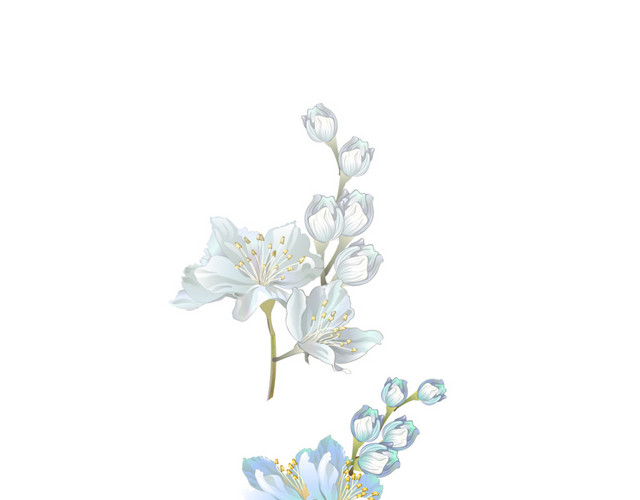 蓝色花朵插画素材