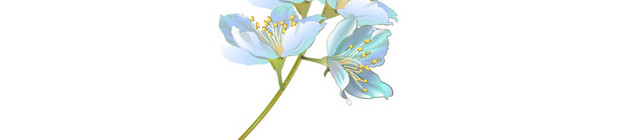 蓝色花朵插画素材
