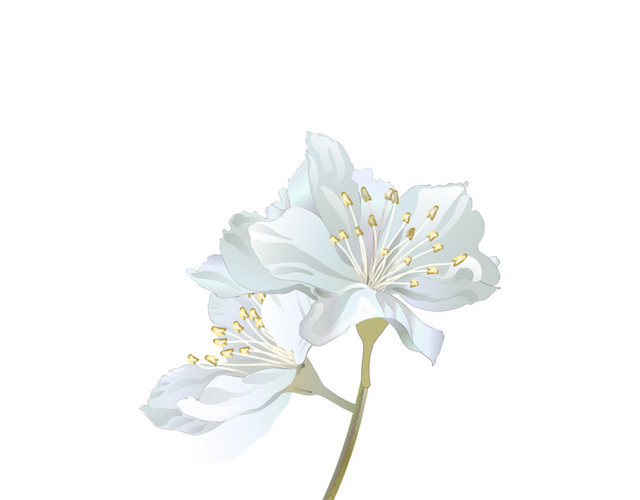 蓝色花朵手绘素材