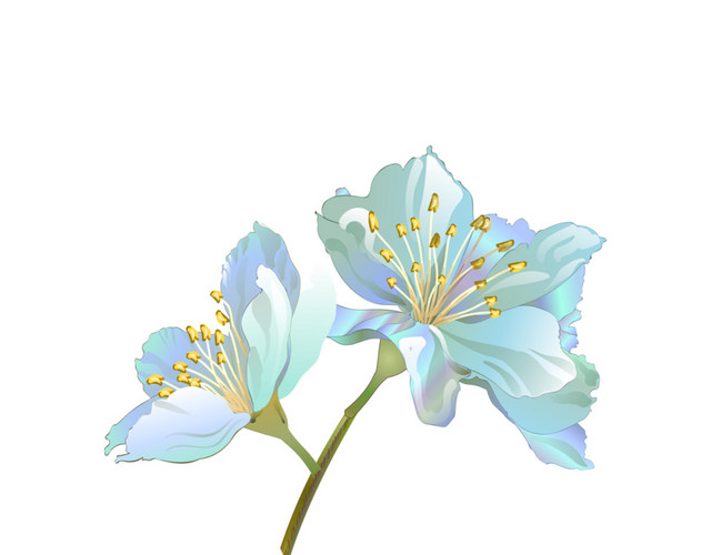 蓝色花朵插画素材