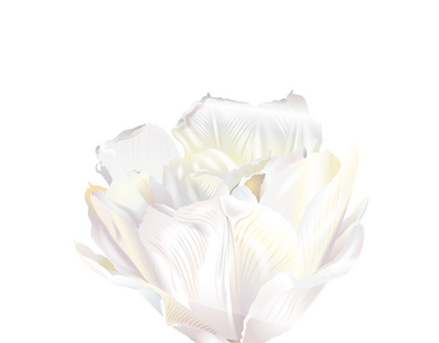 白色花手绘素材