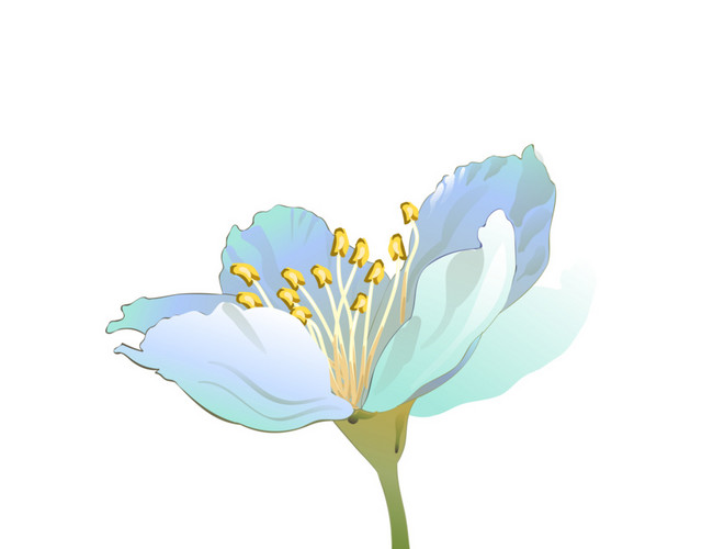 蓝色花朵插画素材