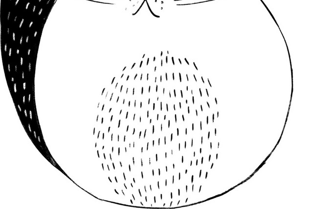 简洁手绘黑白插画素材
