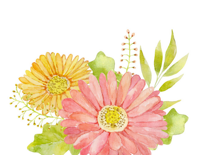 小清新水彩花卉图片