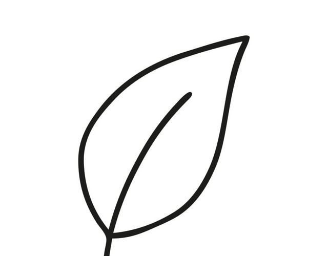 简约大气素描树叶