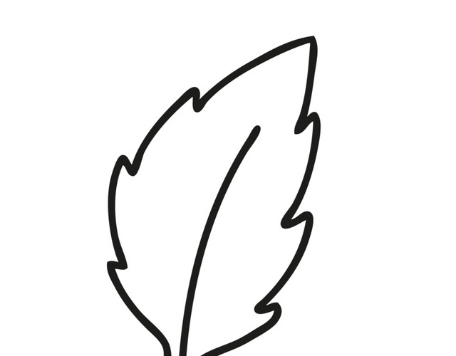 简约风简笔画素描树叶