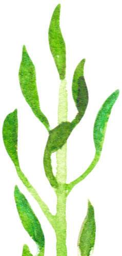 自然绿色箭头植物免抠素材