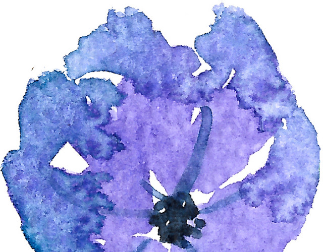 卡通唯美蓝黑色花免抠素材