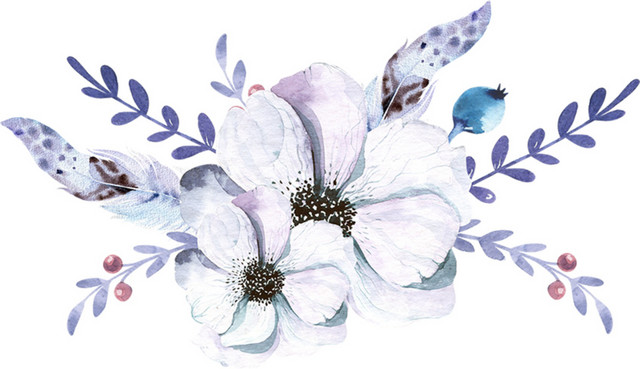 唯美卡通手绘鲜花羽毛免抠素材