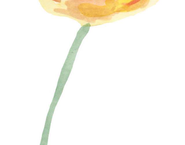 卡通手绘黄黑色花朵免抠素材