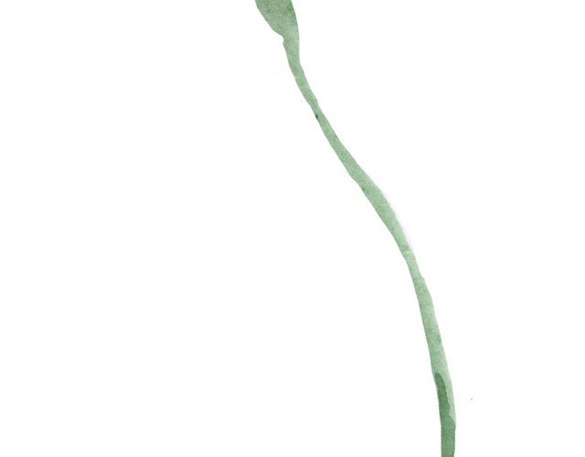 卡通手绘黄红色花朵免抠素材