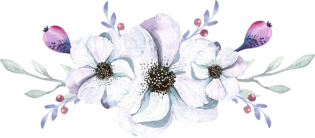 唯美手绘黑色花蕊白色花朵免抠素材