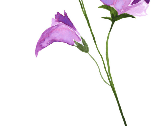 手绘小清新紫色花朵免抠素材