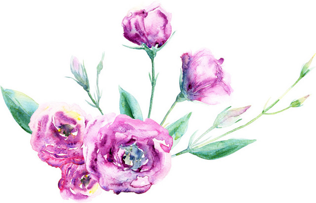唯美晕染粉色鲜花