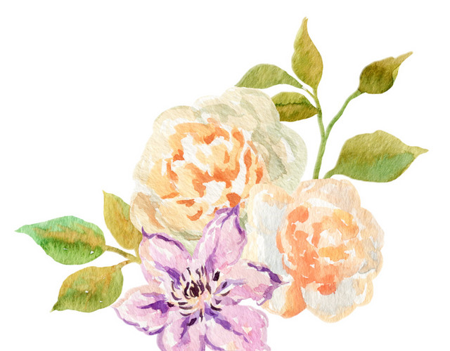 美丽鲜花月季素材
