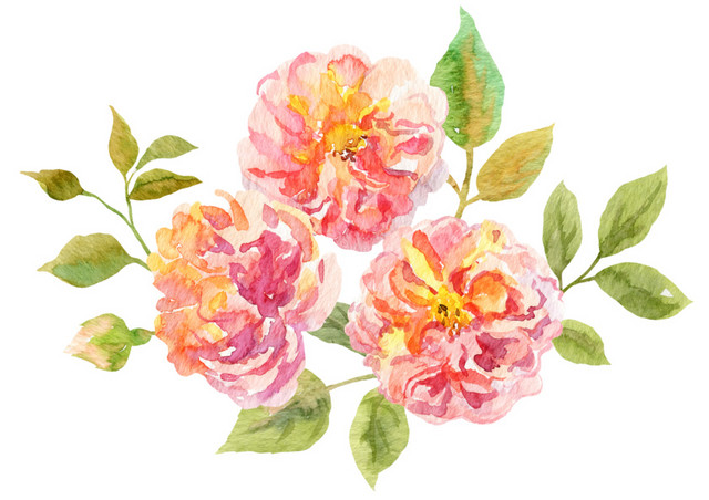 彩绘花草插画