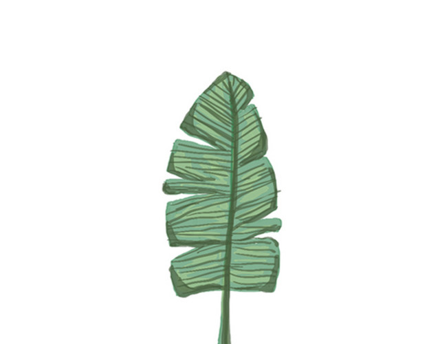 绿色手绘芭蕉叶子