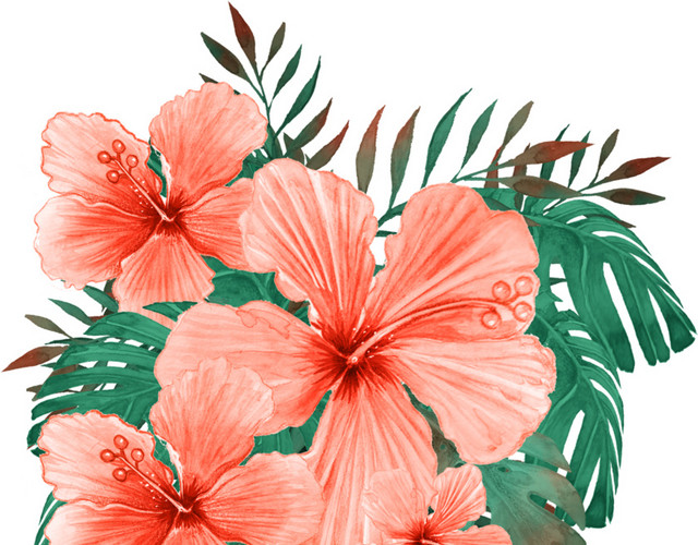 唯美热带花草素材
